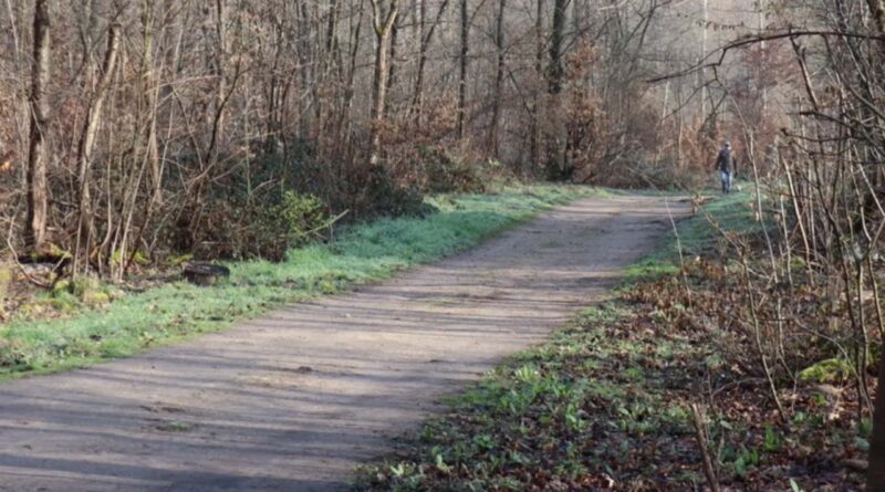 Tötungsdelikt in Mannheim: 19-Jährige tot aufgefunden – Ein Verbrechen, das tief in gesellschaftliche Abgründe blicken lässt